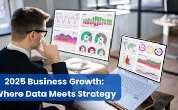 business growth strategist